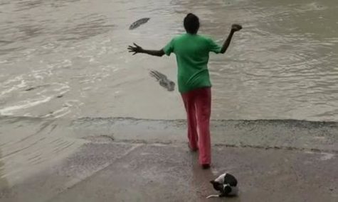 TO THE RESCUE: In a case of La Chancla in hand at its best, a woman saves her small dogs life after a huge crocodile tries to attack them.