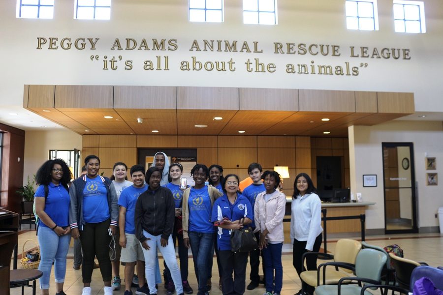 HELPING PAWS AND CLAWS: National Honor Society volunteers assisted the Peggy Adams Animal Rescue League by organizing goods that were donated to the facility, allowing the staff more time with the animals.     