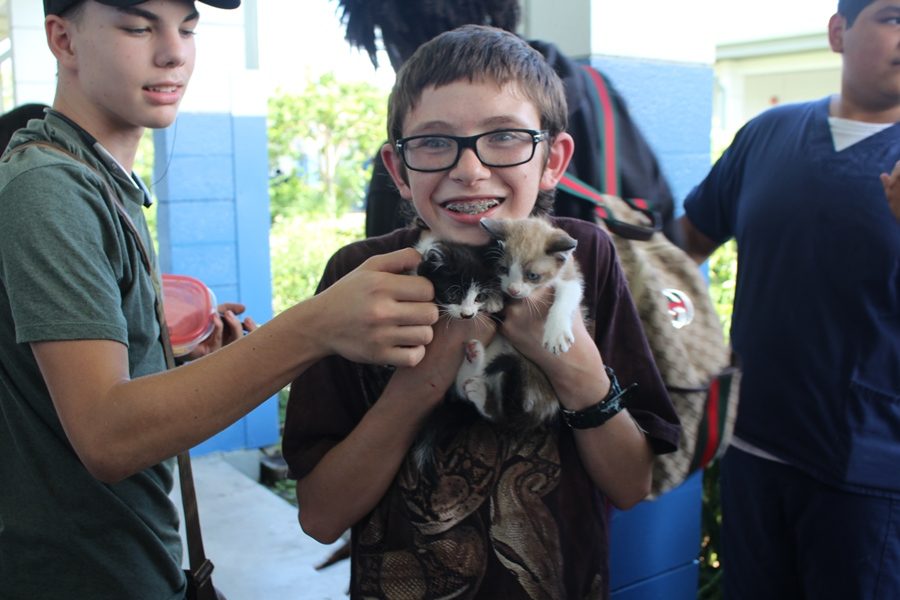 MEOW%3A+Xain+Lawrcy%2C+center%2C+a+maintainer+of+the+schools+garden%2C+stumbled+upon+two+kittens+during+the+lunch+period%2C+allowing+students+to+pet+them%2C+like+Nathaniel+young%2C+left.