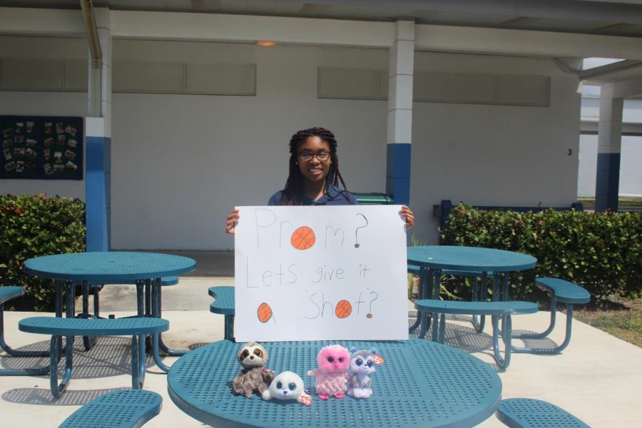 HOW CUTE: Alyssa Stephens was asked to prom by Steven Beier with a basketball themed poster and 4 small stuffed animals.