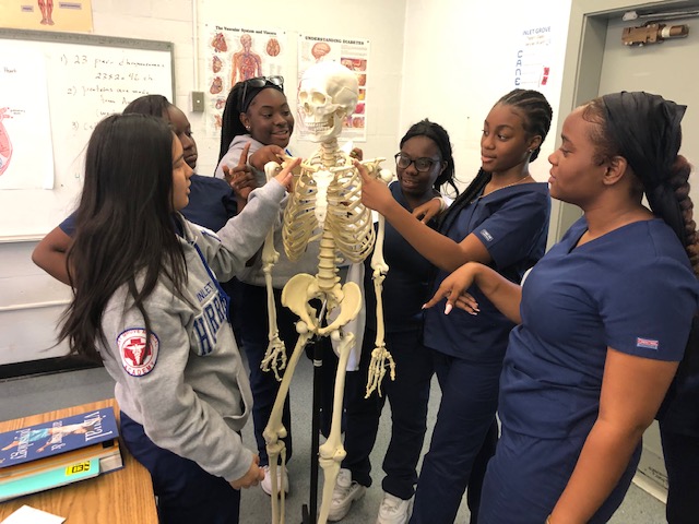 GETTING CADAVEROUS: Dr. Ghassemis fourth period class reviewing the skeletal system of the body on Sept. 23