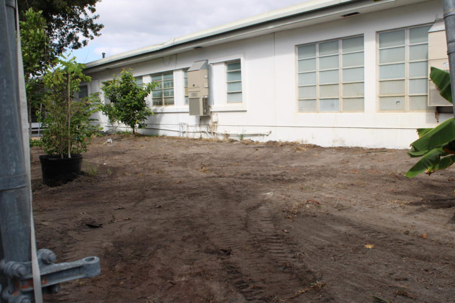 WHAT IS HAPPENING?: The greenhouse has been cleared out, Dr. Banks said she has big plans for the new and improved garden.