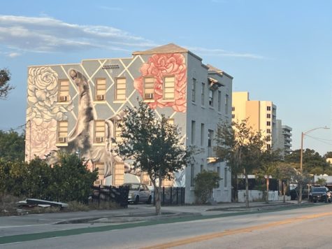 BLOSSOM: West Palm Beach is filled to the brim with murals and street art.