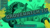 Grovewatch TV: Weekly News Video Ep. 13
