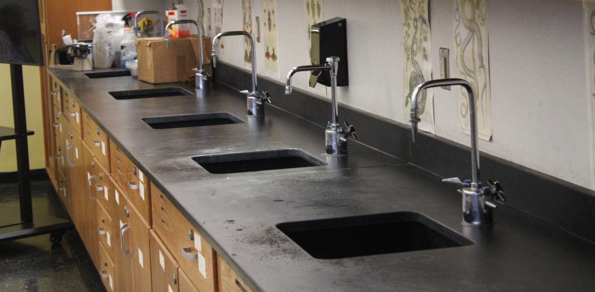 LET THESE SINKS IN: Experimentation is serious business, and you need a lot of faucets for it.