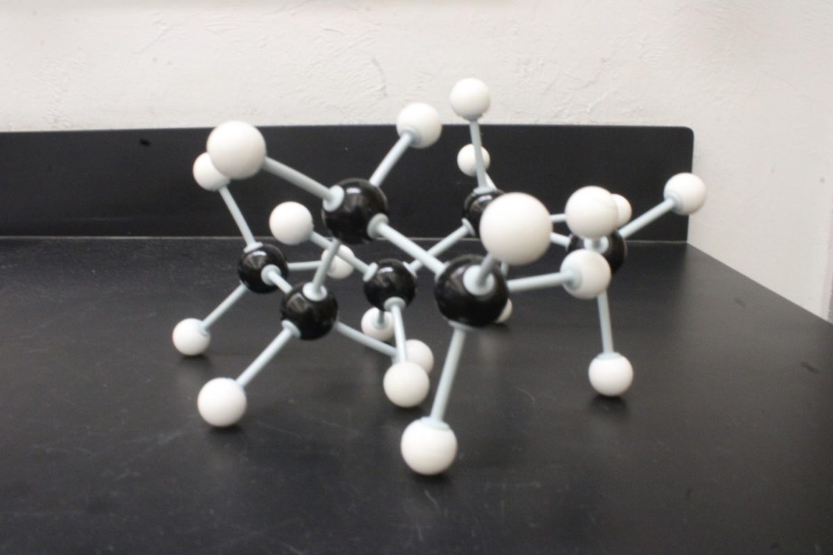 MOLE-COOL: These models give a basic visual of what atoms look like when they're bonded together.