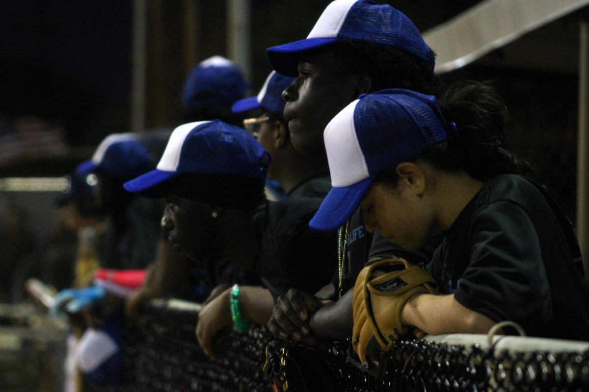 New beginnings with Canes' baseball