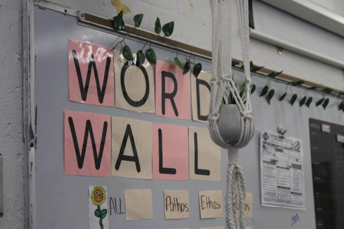 LOOK AROUND: From Shakespeare to sentence structure, from fiction to realistic. Ms.Cifuentes class in room 501 is where it all happens.  