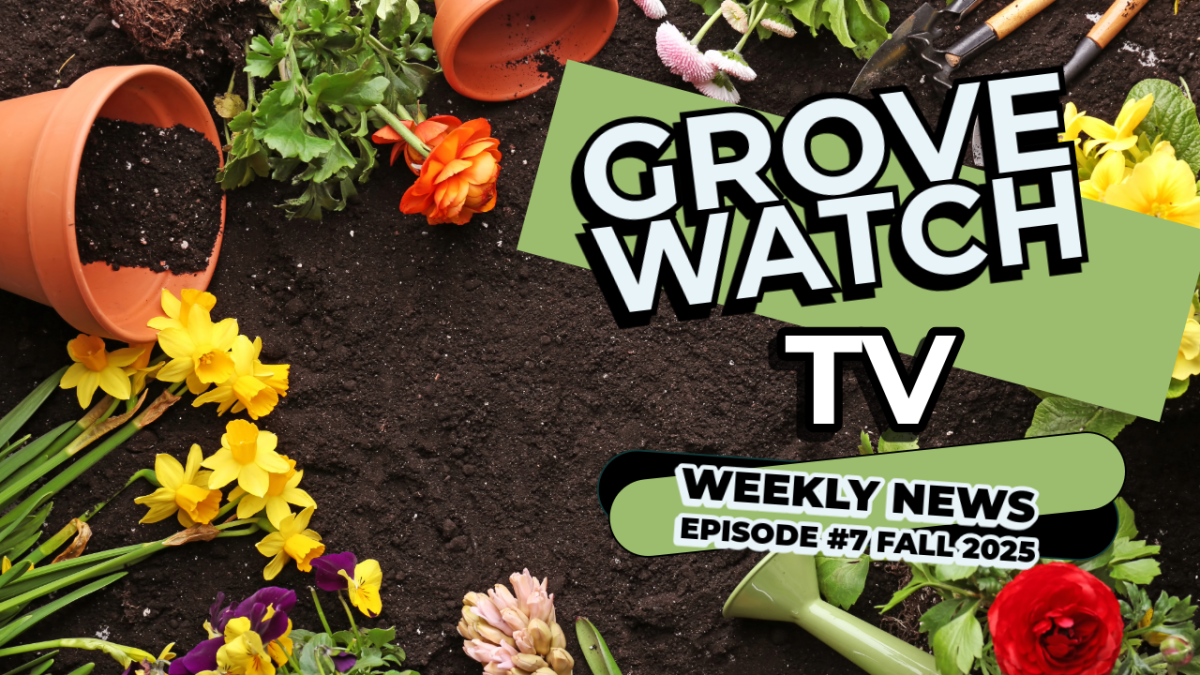Grovewatch TV: Weekly News Video Ep. 7
