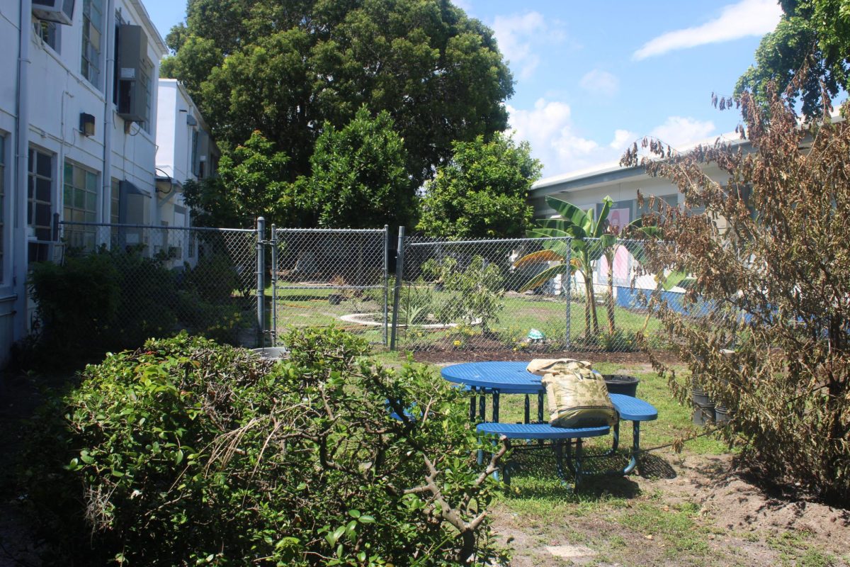 ON A SUNNY DAY; new fruits and vegetables coming soon.