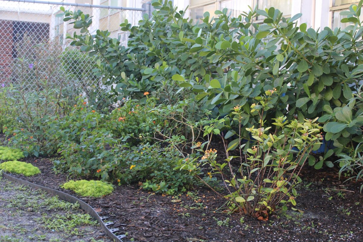 SMELL ALERT: Inlet garden is growing and shining, the smell set is beautiful. 