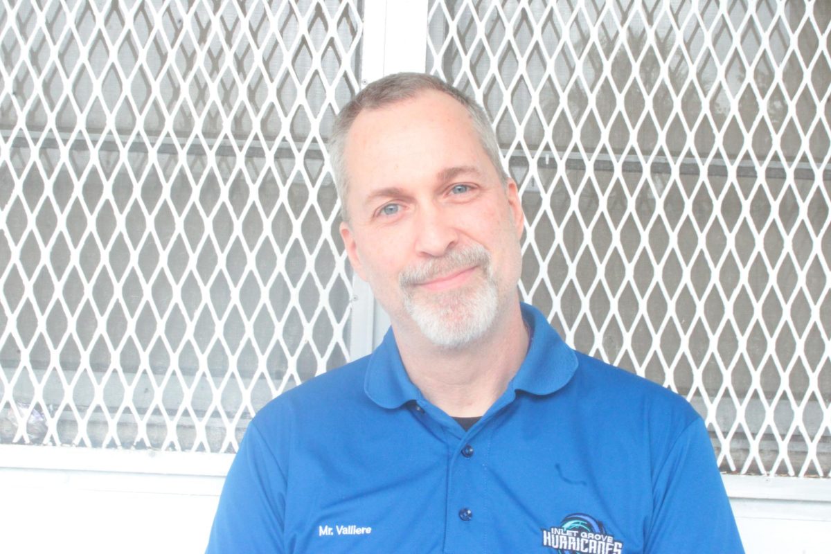 Mr Valliere " serious but playful "
