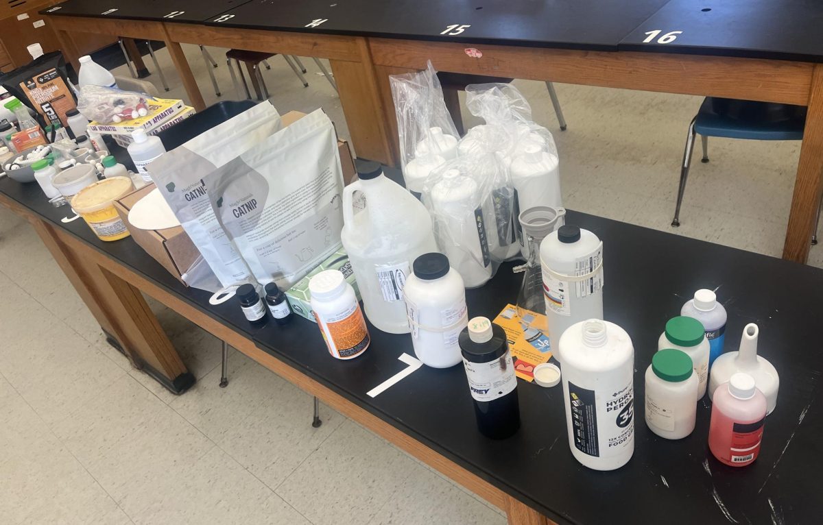 BEFORE CHAOS: Take a look at Mr. Hayes chemistry tools moments before disaster.