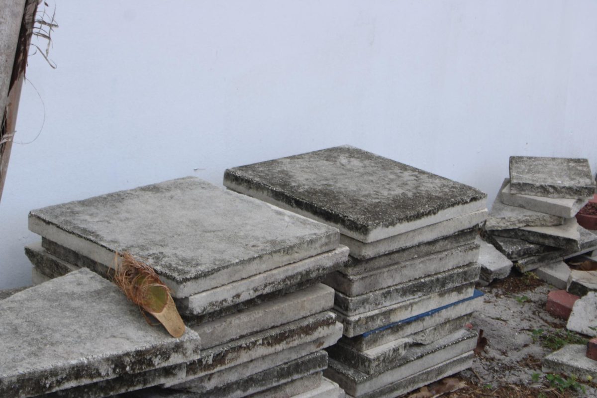 CONCRETE CONSTRUCTION: Someone placed a lot of cement blocks which could hint of new structures on the horizon. 