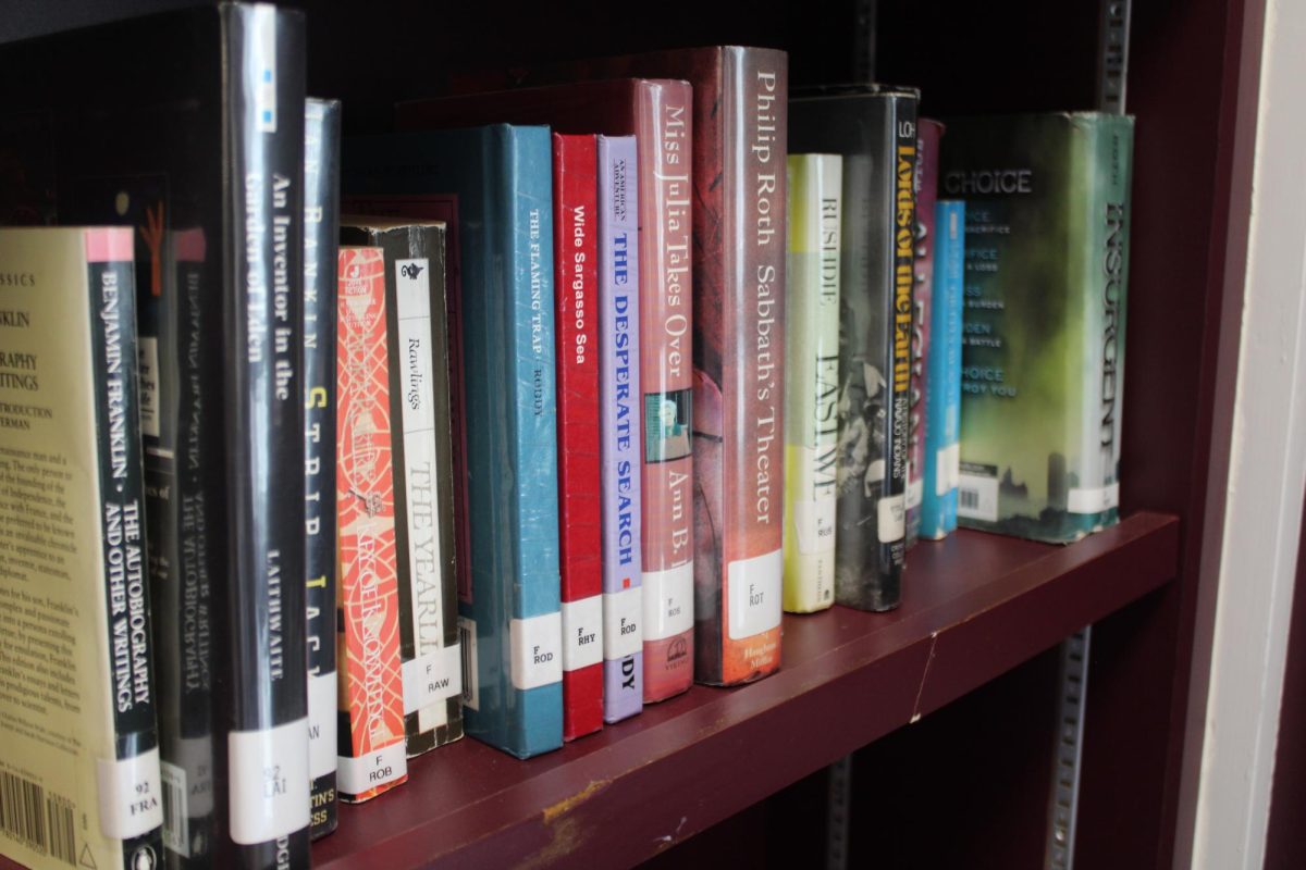 STACKED STORIES: Colorful spines line the shelf.