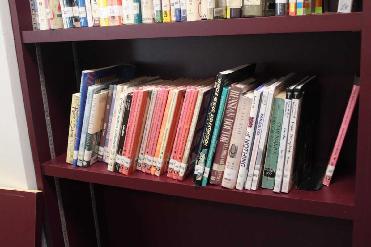 OLD: Their faded spines and barcode labels reflecting years of shared stories and steady circulation.