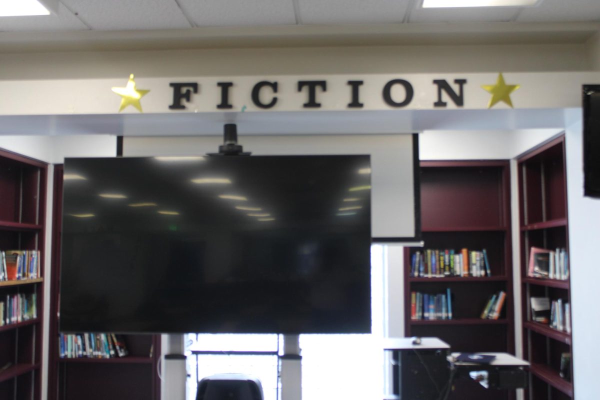 FICTION: This section is full of imagination.