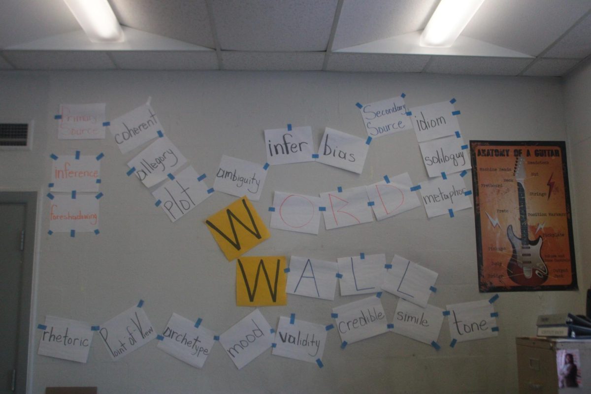 VOCAB:As the teacher said “her amazing word wall you can’t miss it.”.