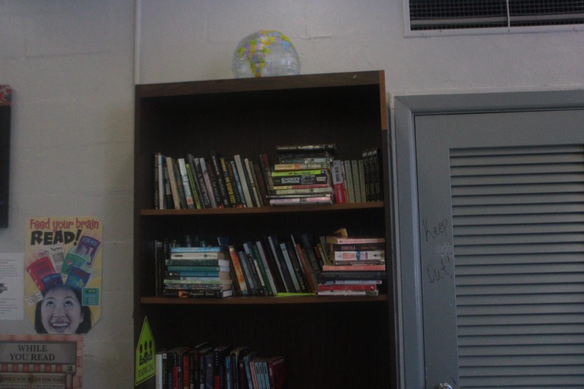 PREPARED: Some literature books for a reading class.