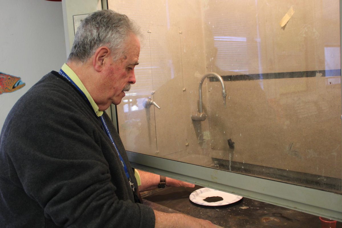 The man behind the experiments: Mr Hayes!