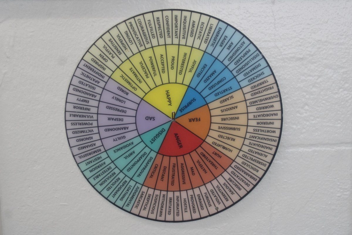 VOCABULARY: She also believes that people should understand their feelings, keeping a chart that shows different words to express them.