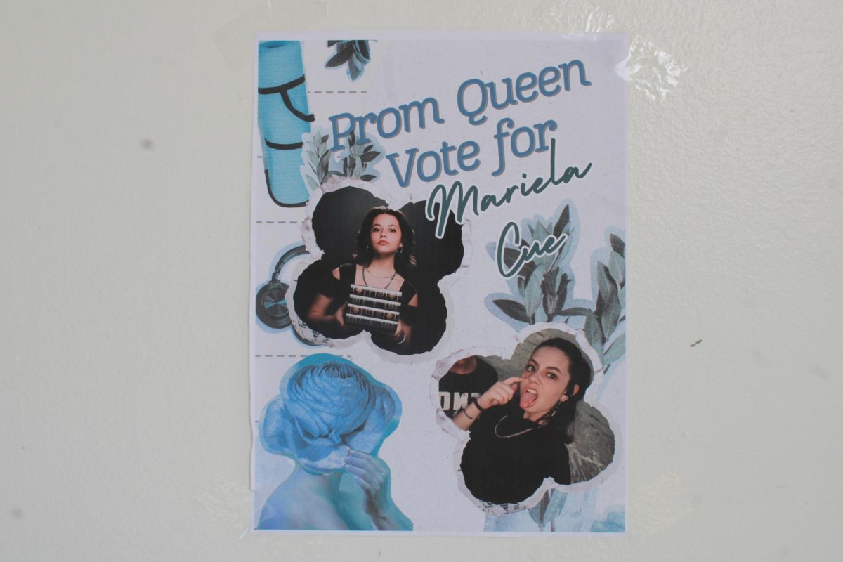 UPCOMING EVENT: Prom is coming up, vote  for who you think should be crowned as prom queen.