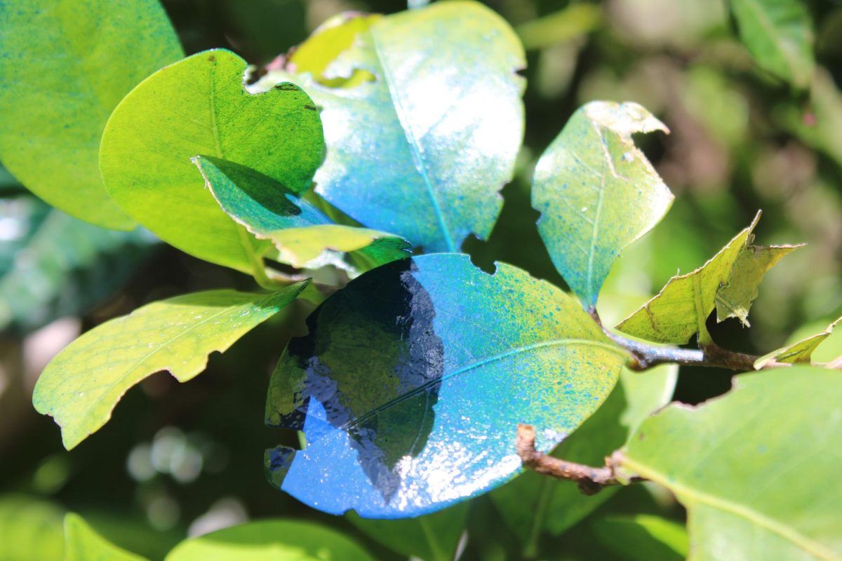 STAINED: Not everything natural stays untouched.